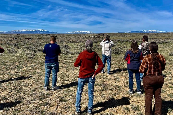 Red Canyon Wild Mustang Tour from Cody — Private 4-Hour Van Safari photo 3