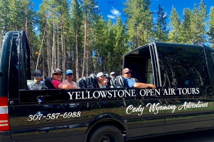 Yellowstone Open-Air Lower Loop Tour: Fall Wildlife & Geysers in a Glass-Top Mercedes photo 5