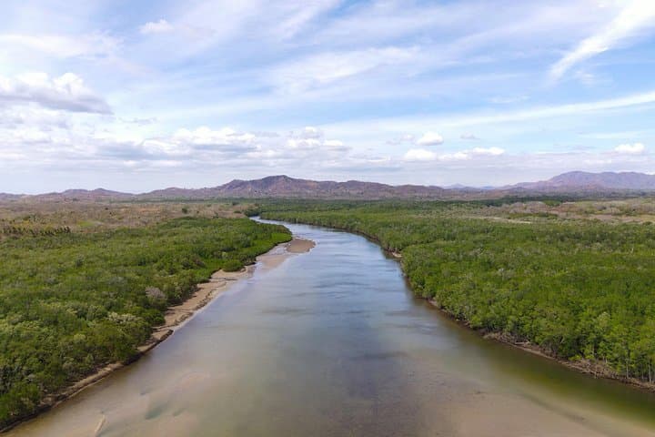 Tamarindo Estuary Kayak & Monkey Tour — Kayak, Mangroves & Wildlife Near Tamarindo photo 6