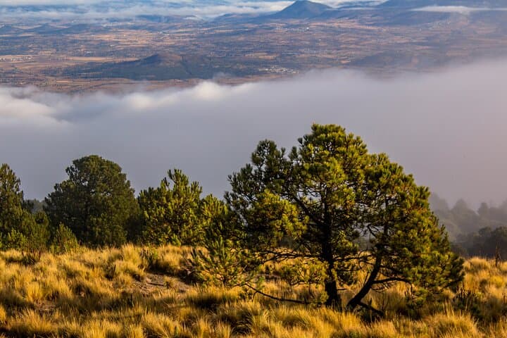 Conquer La Malinche: A Guided Climb from Mexico City for Every Adventurer photo 3
