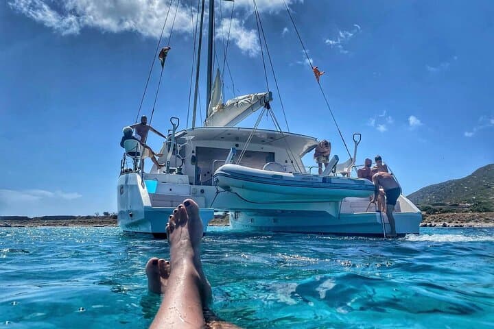 Asinara & La Pelosa Catamaran Day Trip from Stintino — Swim, Snorkel & Turtle Rescue Visit