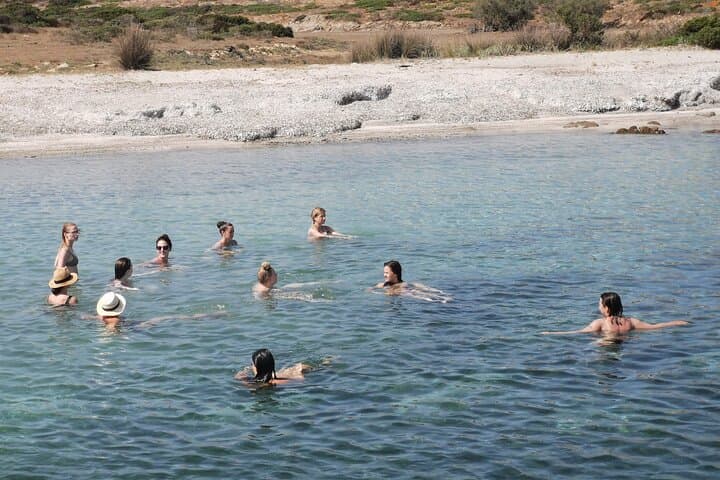 Asinara & La Pelosa Catamaran Day Trip from Stintino — Swim, Snorkel & Turtle Rescue Visit photo 5