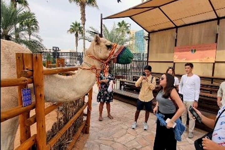 Private Old Dubai Food & Walking Tour — Abra Ride, Souks & Blue Mosque Visit photo 5