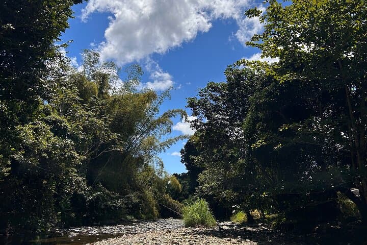 Explore El Yunque Rainforest: Hiking, Rope Swings & Natural Waterslides photo 4