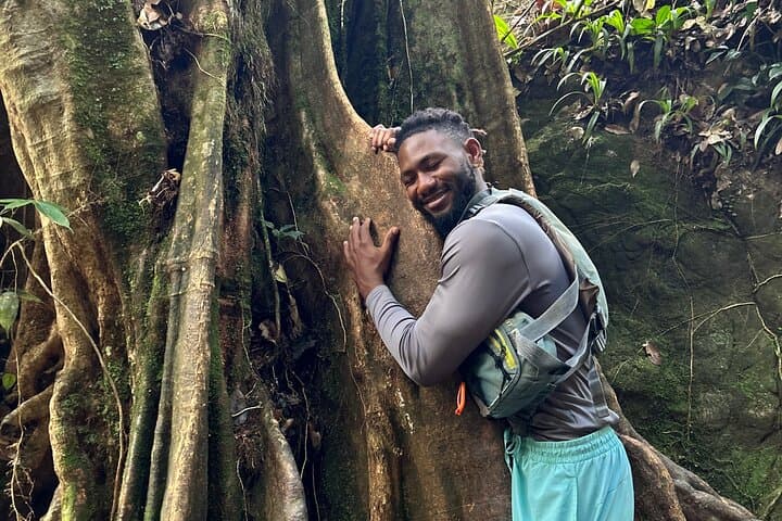 Explore El Yunque Rainforest: Hiking, Rope Swings & Natural Waterslides photo 5