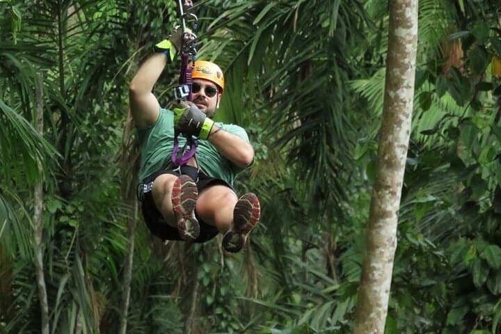 Zip Above Gamboa Rainforest: Tree Trek Zip Line Adventure near Panama City