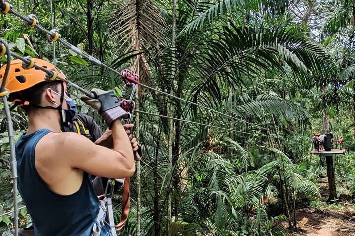 Zip Above Gamboa Rainforest: Tree Trek Zip Line Adventure near Panama City photo 3