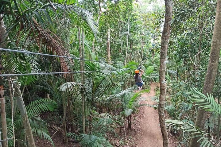 Zip Above Gamboa Rainforest: Tree Trek Zip Line Adventure near Panama City photo 6
