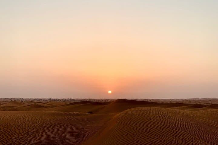 Dubai Desert Safari: 4x4 Dune Bashing, Sandboarding & Local BBQ in DDCR photo 5