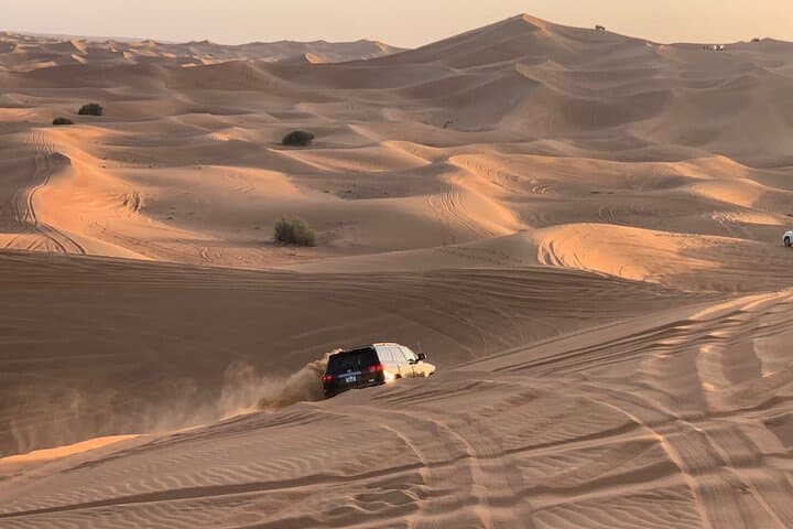 Dubai Desert Safari: 4x4 Dune Bashing, Sandboarding & Local BBQ in DDCR photo 6