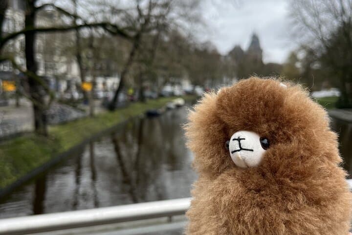 Zaanse Schans, Edam & Volendam Private Day Tour from Amsterdam — Windmills, Cheese and Coastal Streets photo 6