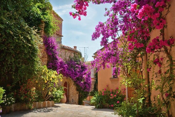 Private Day Trip from Saint-Tropez to Bormes-les-Mimosas — Mimosa Blooms & Medieval Streets photo 1