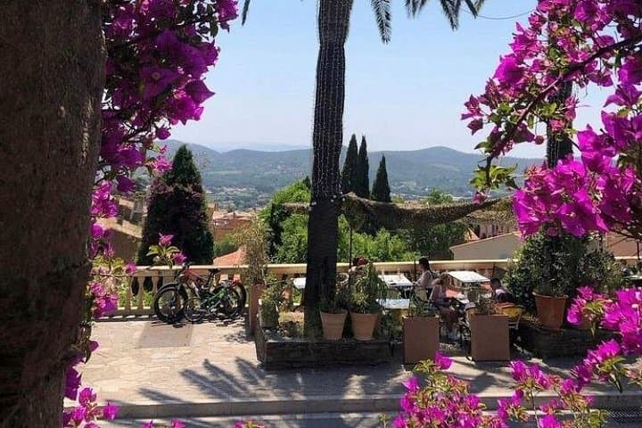 Private Day Trip from Saint-Tropez to Bormes-les-Mimosas — Mimosa Blooms & Medieval Streets photo 3