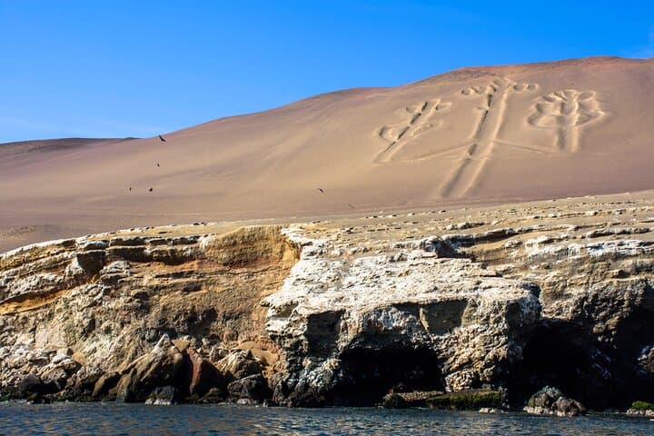 Ballestas Islands, Vineyards & Huacachina Buggies — Full-Day Trip from Ica