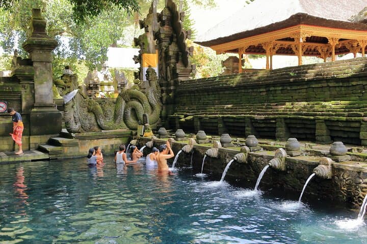 Ubud All-Inclusive Day Tour: Swing, Waterfall, Monkey Forest & Rice Terraces photo 4