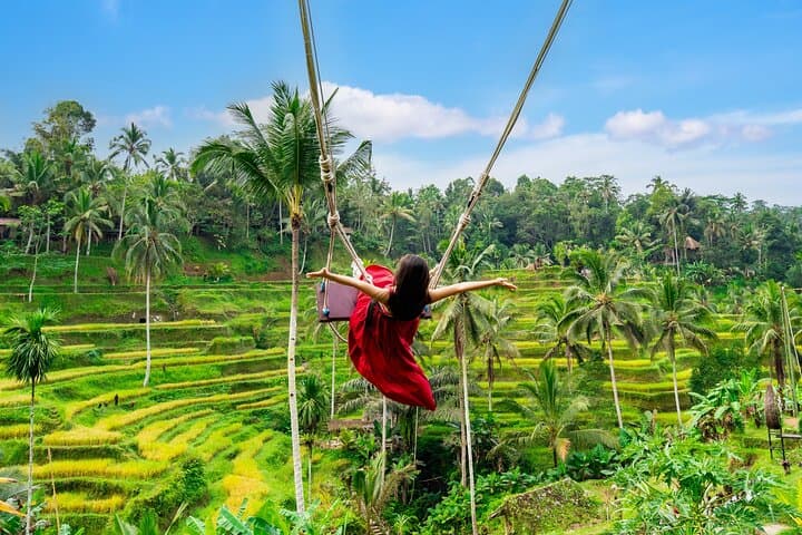 Ubud All-Inclusive Day Tour: Swing, Waterfall, Monkey Forest & Rice Terraces photo 2