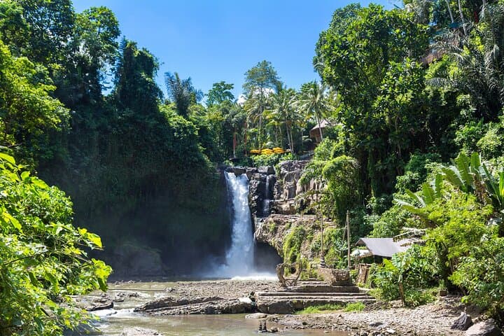 Ubud All-Inclusive Day Tour: Swing, Waterfall, Monkey Forest & Rice Terraces photo 5