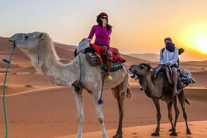Hurghada Quad Safari and Bedouin Dinner Under the Stars photo 3