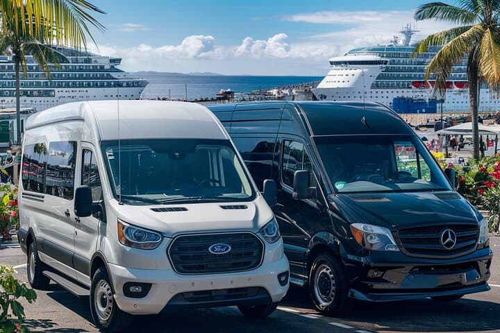 Private Transfer Honolulu: Cruise Terminal, Waikiki Hotels & HNL Airport photo 1