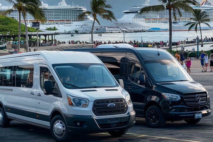 Private Transfer Honolulu: Cruise Terminal, Waikiki Hotels & HNL Airport photo 3