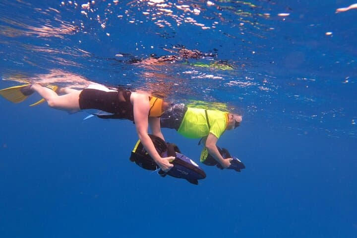 Mangel Halto Sea Scooter Snorkel — Guided Reef Adventure in Aruba photo 6