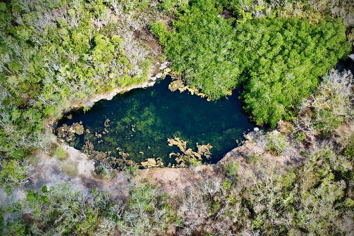 Cozumel Hidden-Gems Private Jeep Tour — Off-the-Beaten-Path Island Experience photo 2