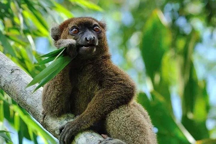 RN7 Madagascar Road Trip: 8-Day Itinerary from Antananarivo to Ifaty photo 4