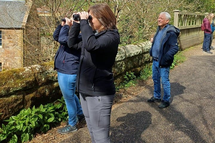 Water of Leith Wildlife & History Walk — Dean Village to Colinton