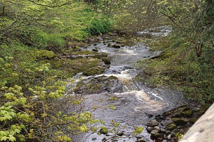 Water of Leith Wildlife & History Walk — Dean Village to Colinton photo 3