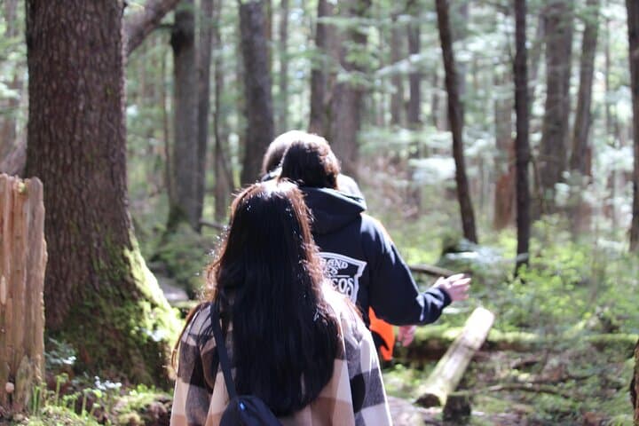 Mindfulness in Tongass: Guided Wilderness Meditation & Mendenhall Glacier Views