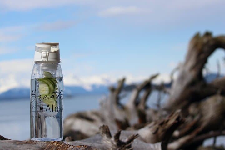 Mindfulness in Tongass: Guided Wilderness Meditation & Mendenhall Glacier Views photo 5