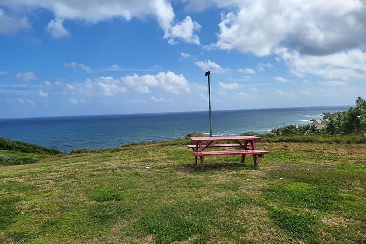 Barbados East Coast Ebike & Walker's Reserve Day Tour — Bathsheba Highlights photo 2