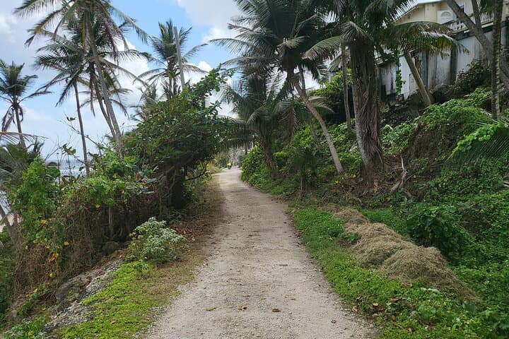 Explore Barbados by Ebike: 24-Hour Day Rental Guide photo 6