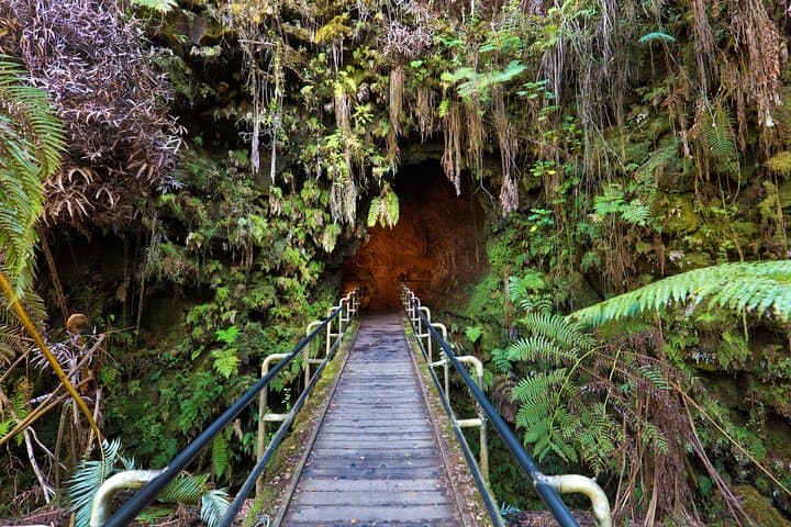 Exploring Kilauea Iki Crater and Lava Tube: A Guided Volcano Hike in Hawaii photo 4