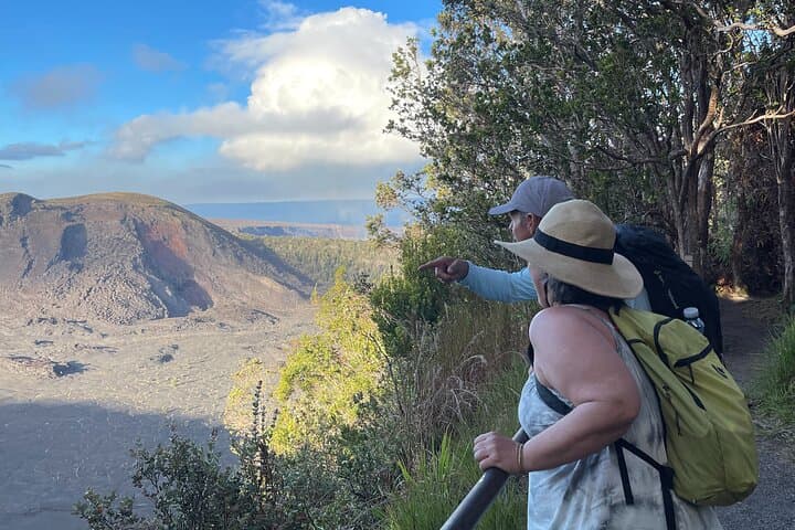 Exploring Kilauea Iki Crater and Lava Tube: A Guided Volcano Hike in Hawaii photo 5