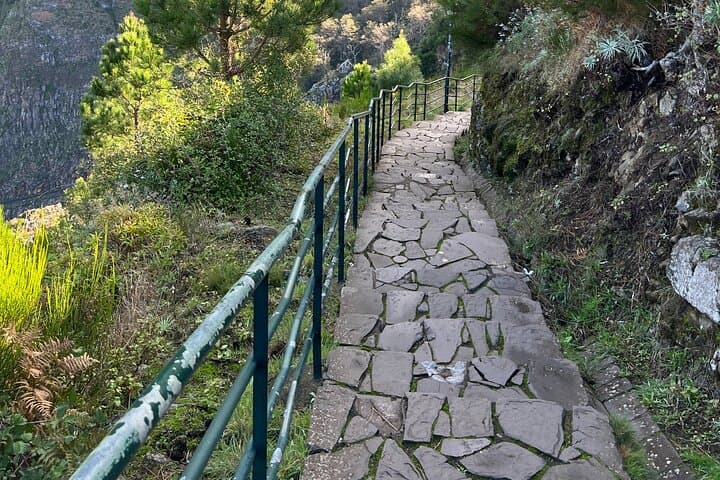 Funchal Highlights: 5-Hour Private Tour of Madeira's South Coast Viewpoints photo 6