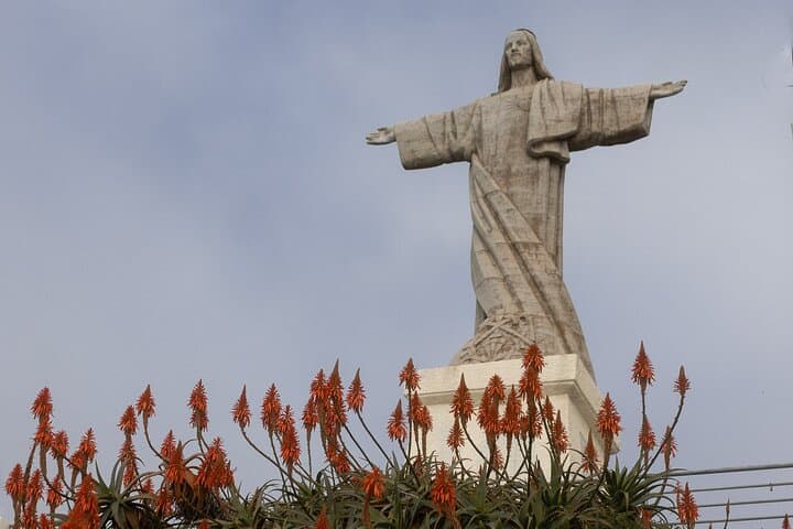 Funchal Highlights: 5-Hour Private Tour of Madeira's South Coast Viewpoints photo 2