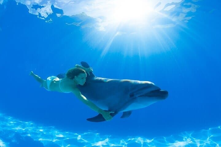 Cabo Dolphin Encounter: Close-Up Bottlenose Experience in San Jose del Cabo photo 4