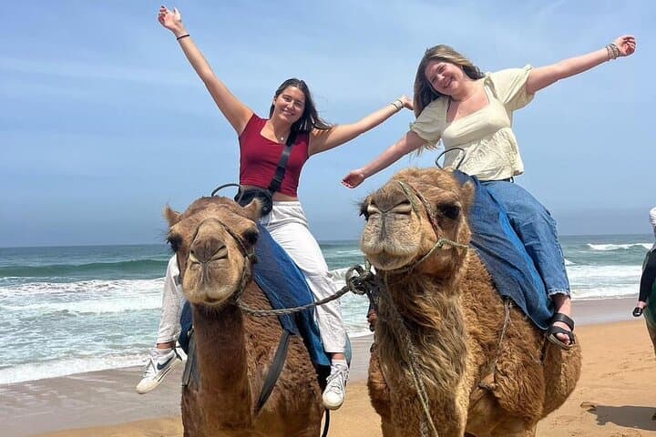 Tangier in Four Hours: Private Deluxe Guided Tour with Camel Ride & Cap Spartel photo 3