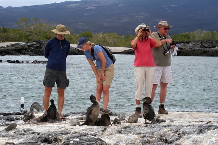 8-Day Galapagos Multi-Sport Adventure: San Cristóbal, Santa Cruz & Isabela Islands photo 4