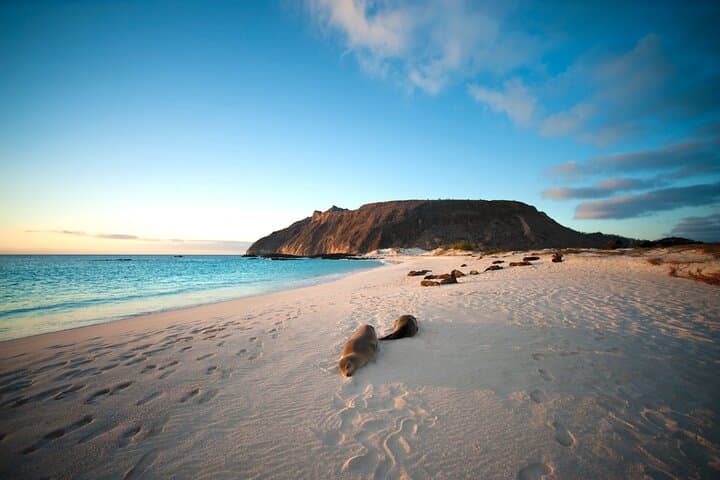 Galápagos to Amazon: 6–8 Day Wildlife & Snorkel Adventure from Baltra photo 4