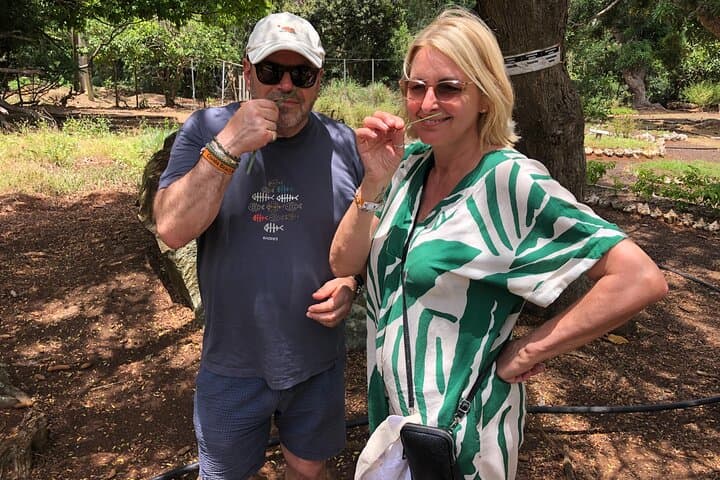 Grenada Spice Gardens, Rum & Chocolate Tour — Full or Half Day Island Experience photo 2