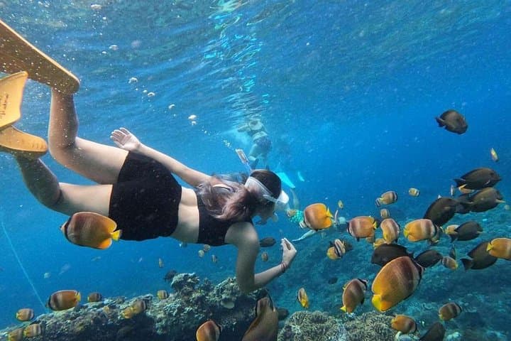 Cham Island Snorkeling Day Trip from Hoi An or Da Nang — Cu Lao Cham Marine Reserve photo 2