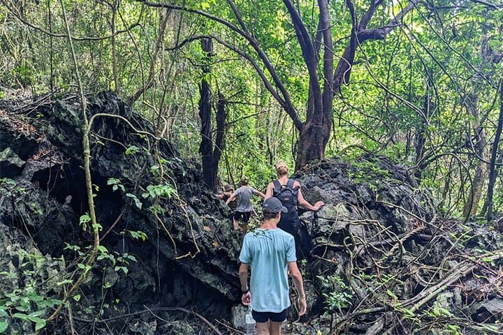 Full-Day Trek in Cat Ba National Park: Frog Lake, Viet Hai & Lan Ha Bay photo 2