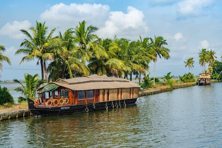 Kerala Private Tour Package: 8-Night Tea Gardens, Wildlife & Backwater Journey