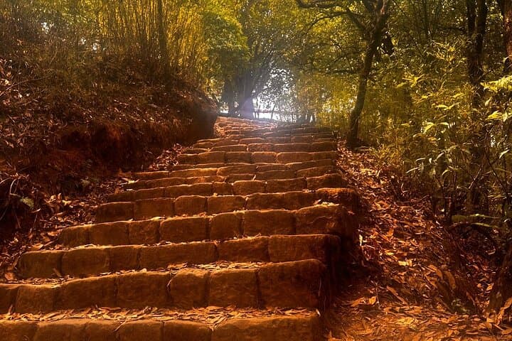 Jamacho Hill Hike: Shivapuri-Nagarjun Day Trip from Kathmandu photo 6