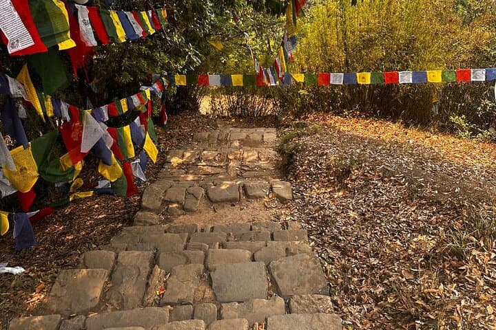 Jamacho Hill Hike: Shivapuri-Nagarjun Day Trip from Kathmandu photo 5
