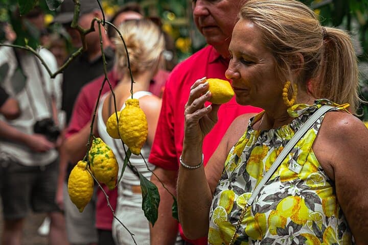 Sorrento Ape Tour: Lemon Grove, Mozzarella Show & Pizza Class