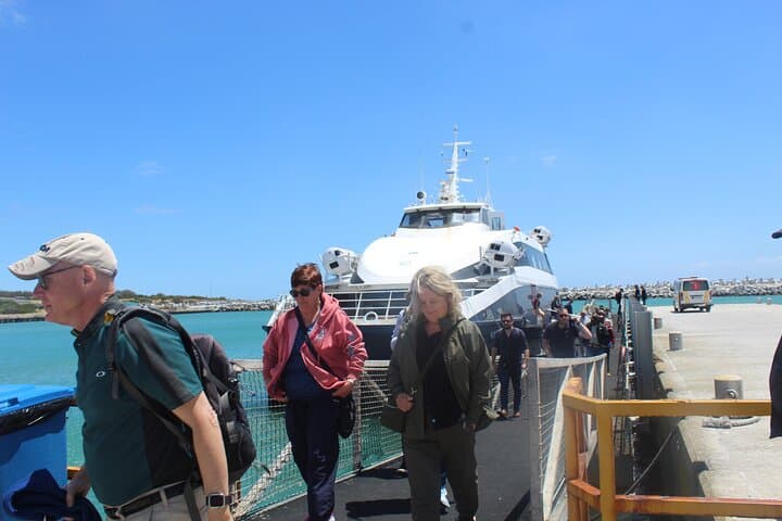 Robben Island Museum Tour — Walk Mandela's Cell, Quarry & Penguin Coast from Cape Town photo 4