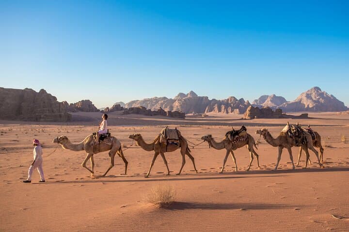 Jordan Pass Six-Night Private Tour: Petra, Wadi Rum, Dead Sea & Aqaba